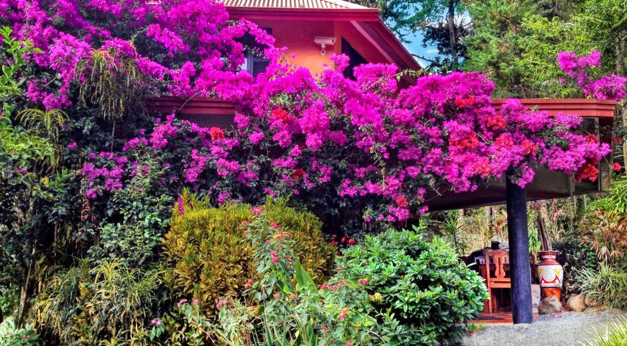 Boquete Garden Inn Exterior photo